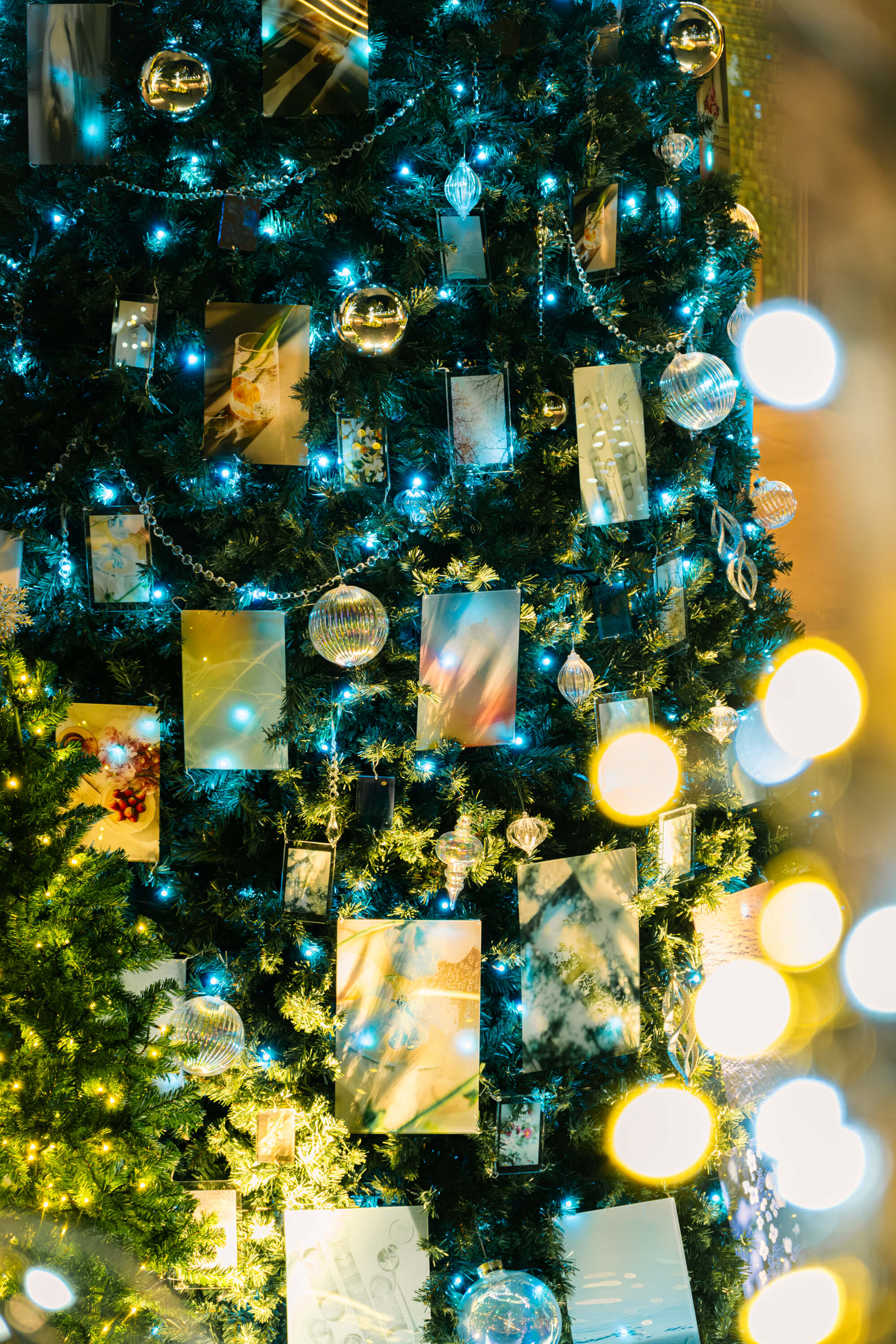 東京スクエアガーデン｜国分真央｜有限会社三幸（TOKYO ACRYL）｜2025 東京スクエアガーデン ウィンターイルミネーション「When Silence Becomes Light　光とつなぐ、透明のとき」