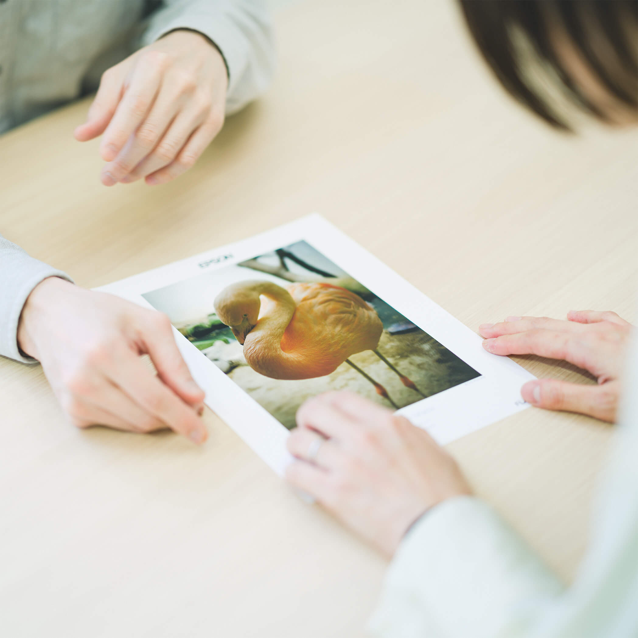 理想のプリントへ 「色校正編」