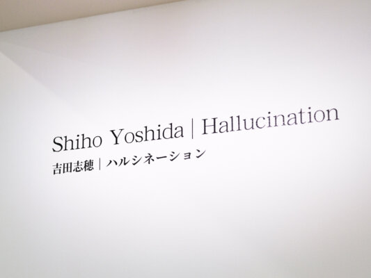 吉田志穂｜ハルシネーション｜
