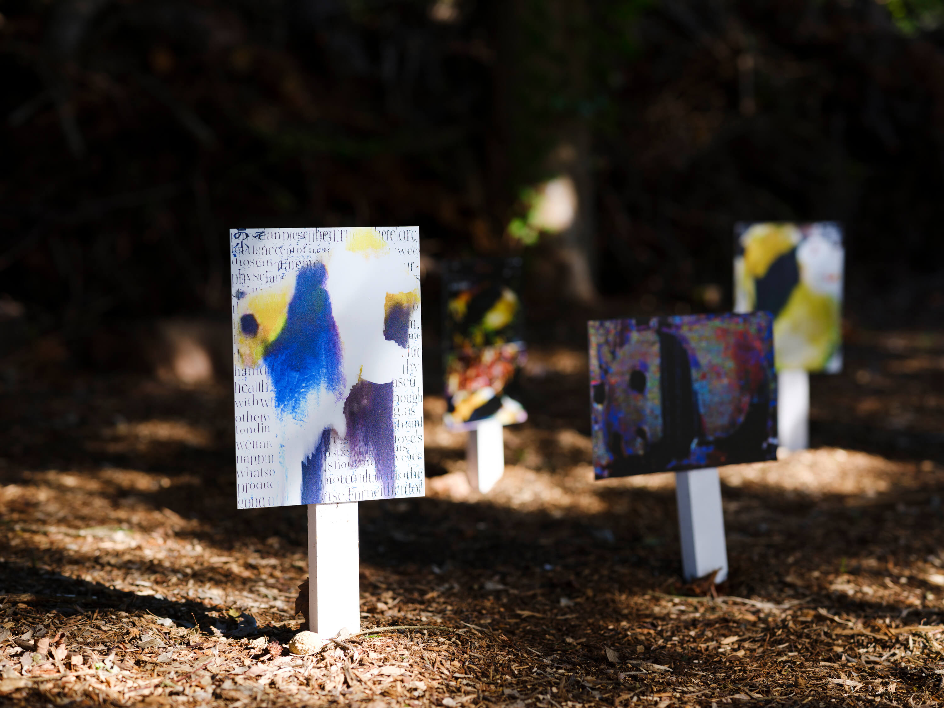 小林 健太｜松井祐生（関川卓哉）｜浅間国際フォトフェスティバル2025 PHOTO MIYOTA