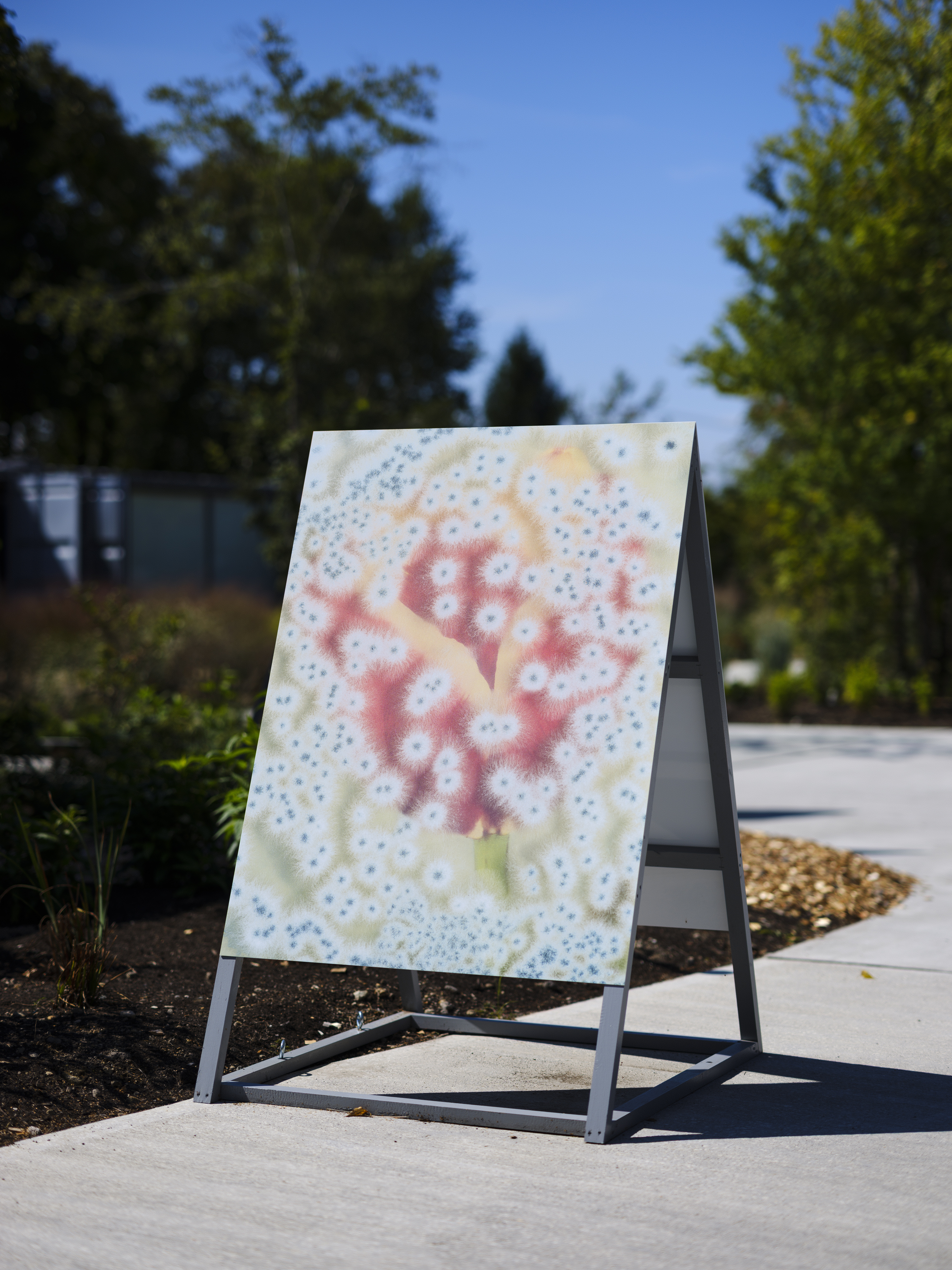 ロンフイ・チェン｜マレン・ジェレフ/クラウス・ピヒラー｜浅間国際フォトフェスティバル2025 PHOTO MIYOTA