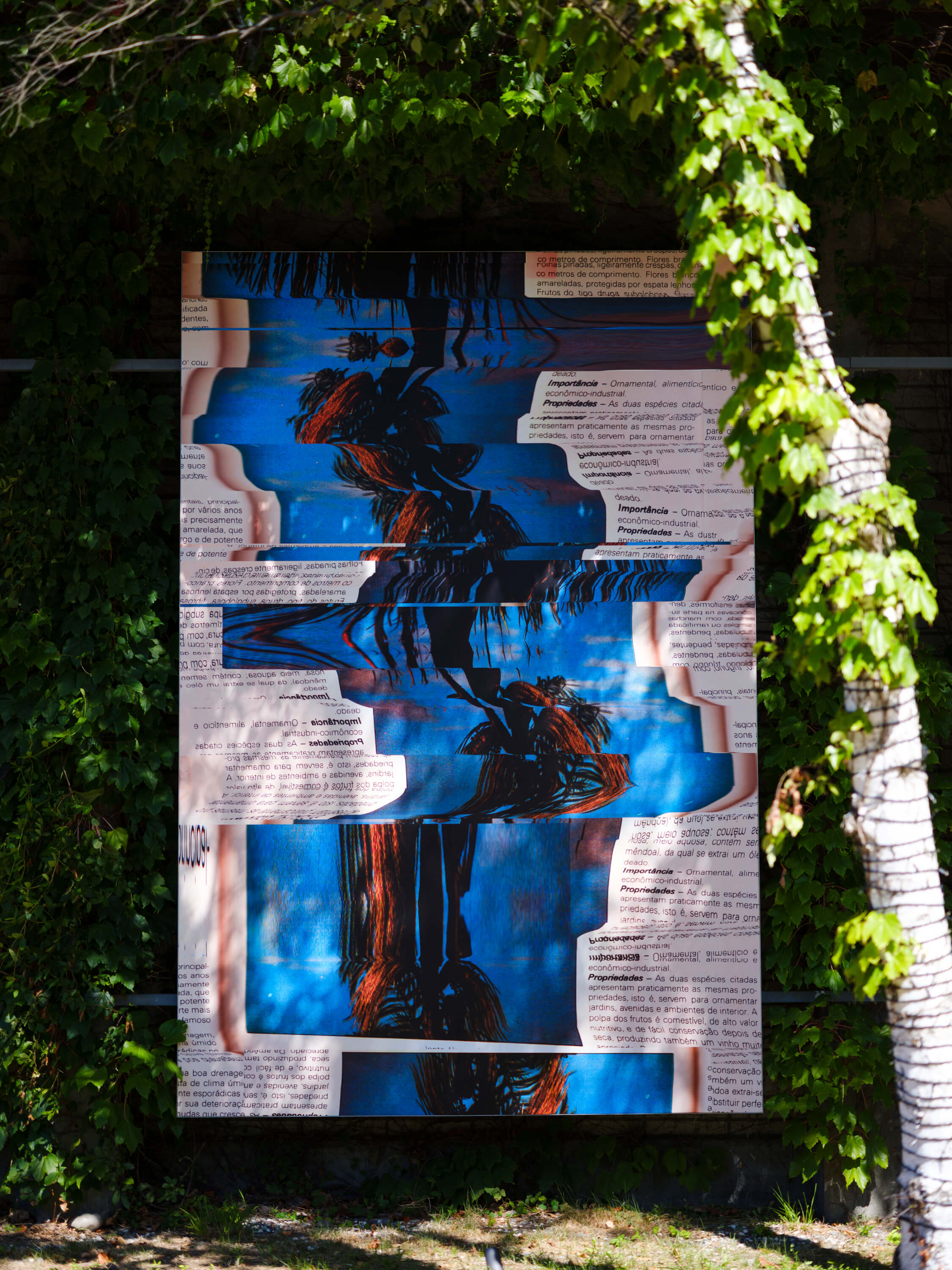 エルサ・レディエ｜コンスト｜浅間国際フォトフェスティバル2025 PHOTO MIYOTA