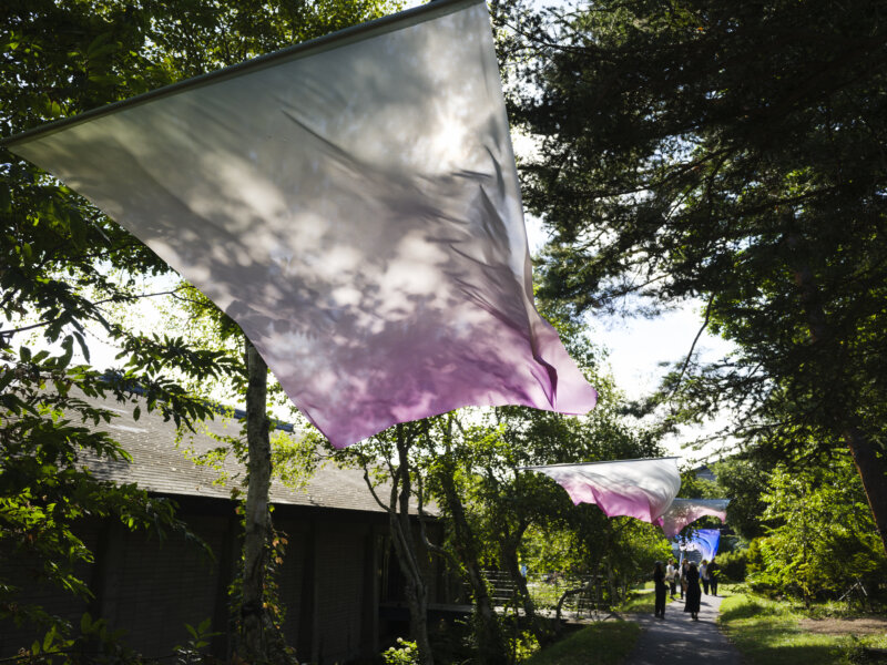 ロール・ウィナンツ｜小山泰介｜浅間国際フォトフェスティバル2025 PHOTO MIYOTA