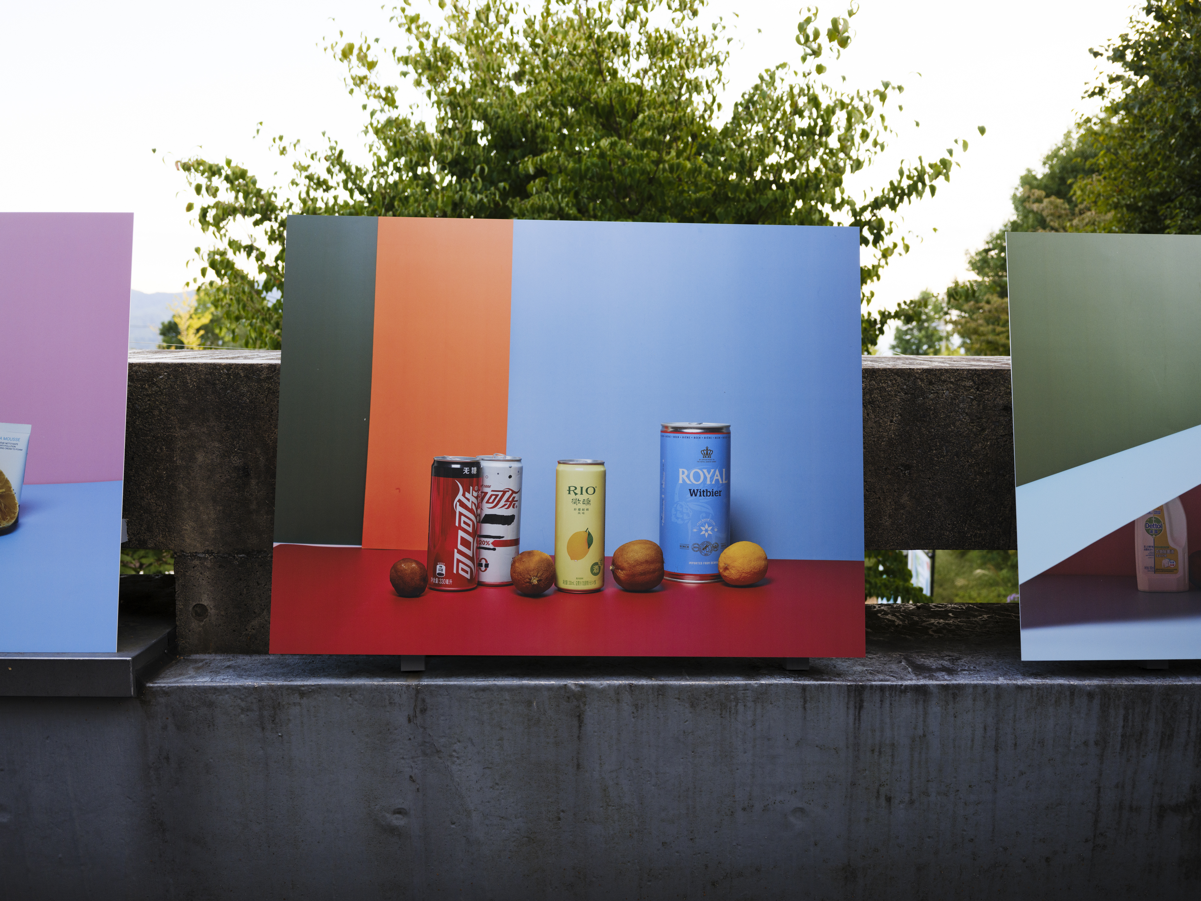 ロンフイ・チェン｜マレン・ジェレフ/クラウス・ピヒラー｜浅間国際フォトフェスティバル2025 PHOTO MIYOTA