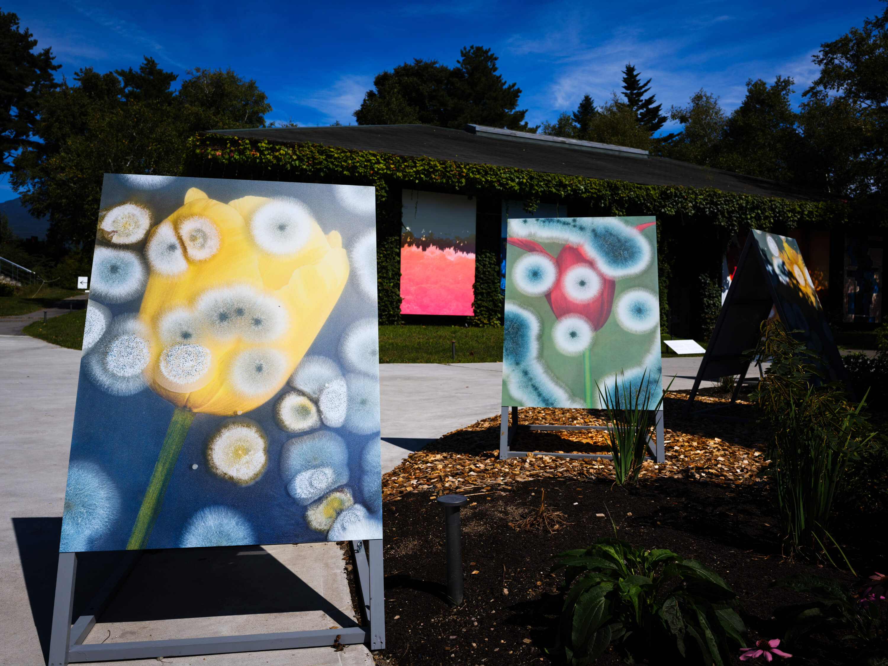 ロンフイ・チェン｜マレン・ジェレフ/クラウス・ピヒラー｜浅間国際フォトフェスティバル2025 PHOTO MIYOTA