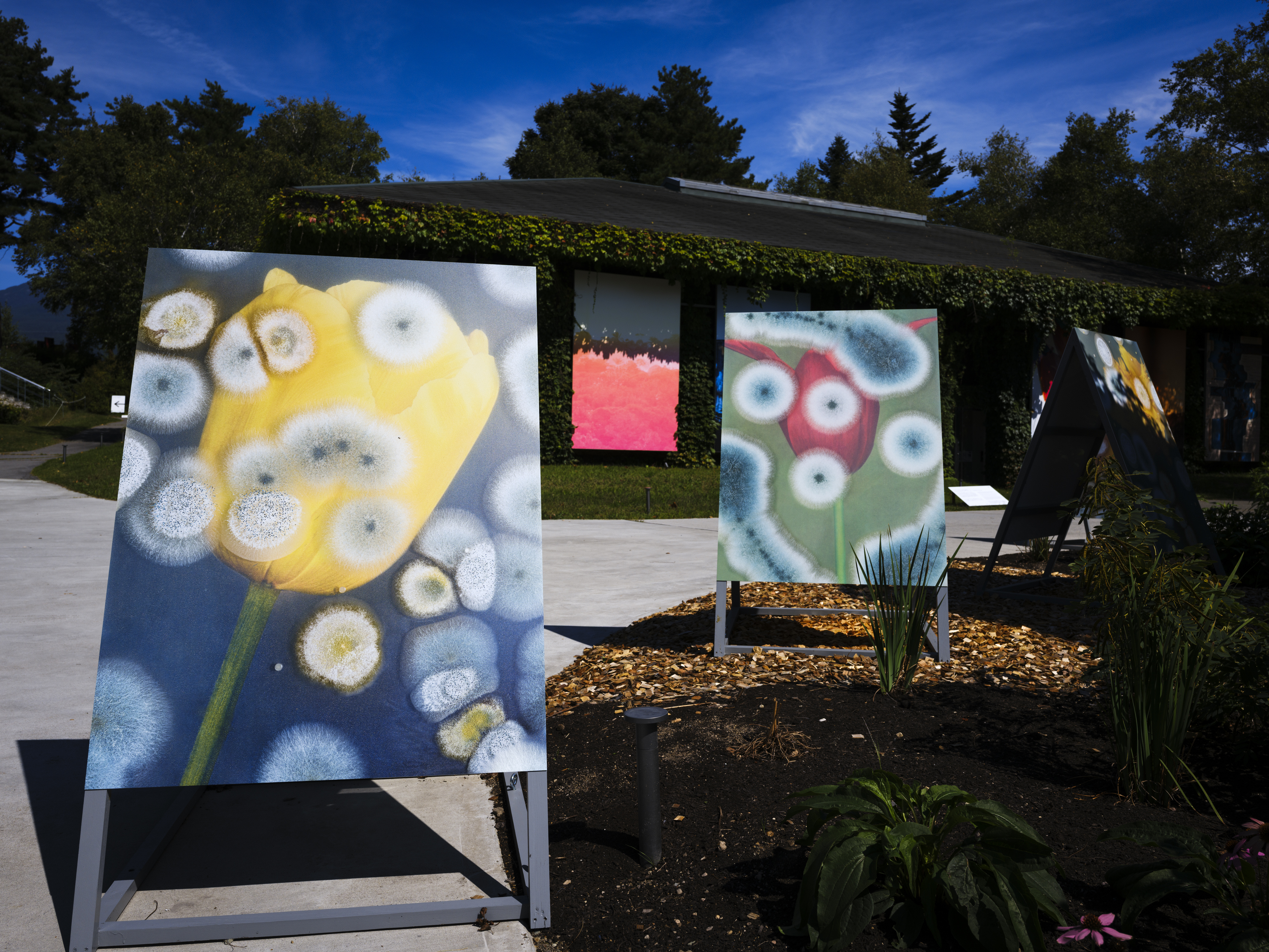 ロンフイ・チェン｜マレン・ジェレフ/クラウス・ピヒラー｜浅間国際フォトフェスティバル2025 PHOTO MIYOTA