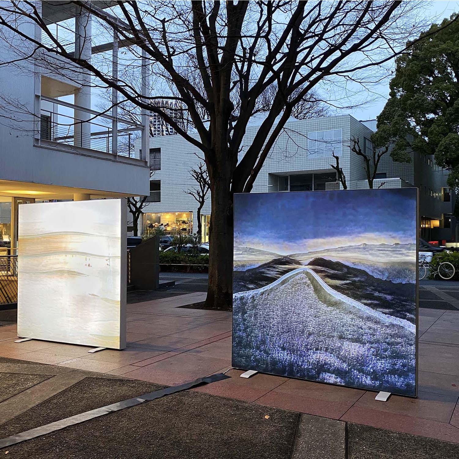 柿本ケンサク『TRANSFORMATION』サイン入り TRANSLATOR - 柿本ケンサク | shashasha 写々者 - 写真集とアートブック